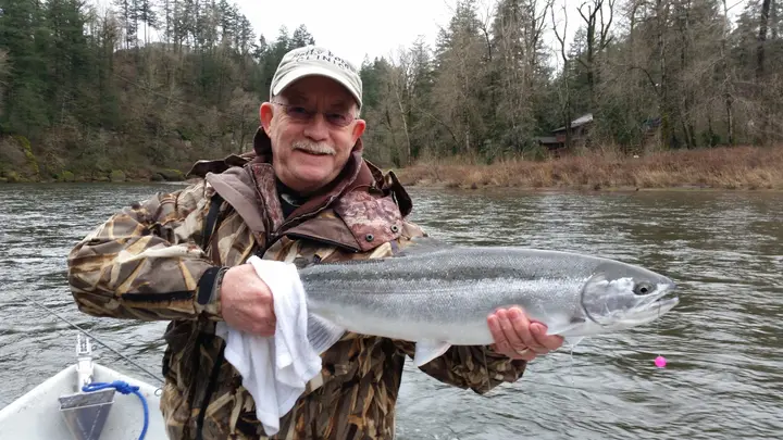 An older man holding a bright winter steelhead
