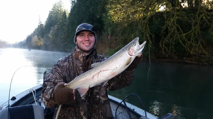 An angler holding a steelhead on a misty river at sunrise from a drift boat