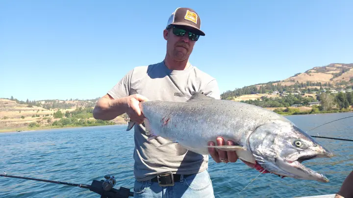 A man in a fishing cap holding a big chinook salmon in the Columbia Gorge