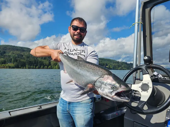 A man at the wheel holding a large chinook salmon on a sunny day