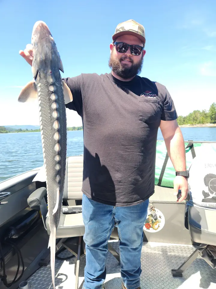 A bearded man holding a large sturgeon