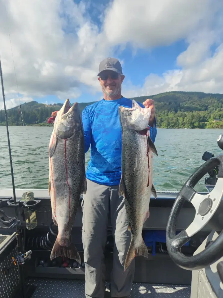 A man in a blue shirt holding two chinook salmon