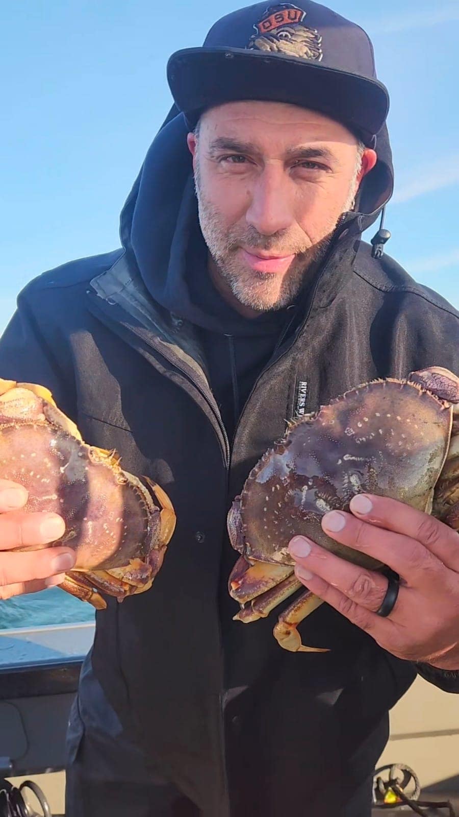 Dungeness Crab
