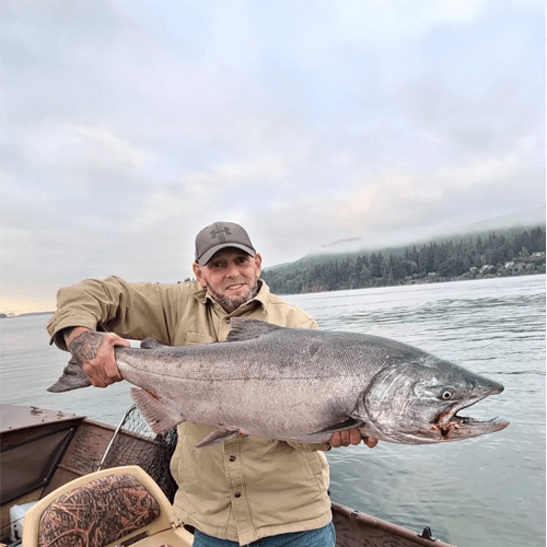 Fall Chinook