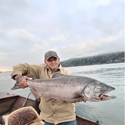 Fall Chinook